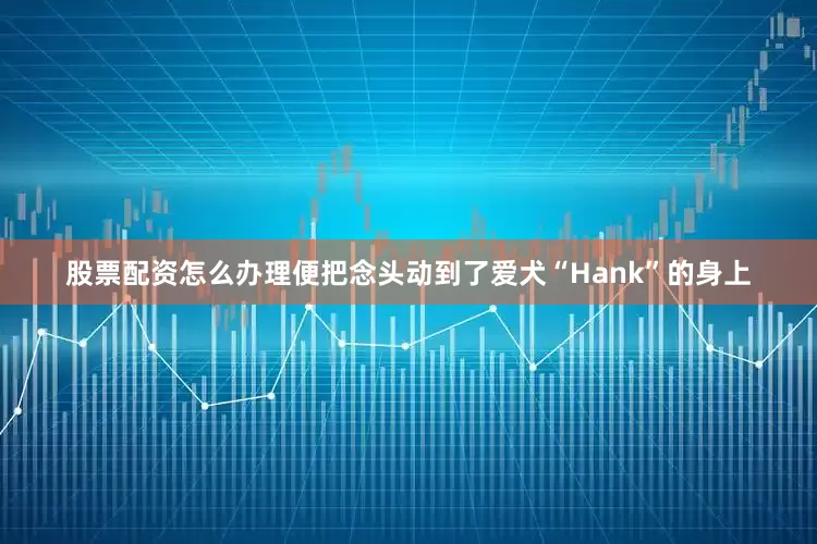 股票配资怎么办理便把念头动到了爱犬“Hank”的身上